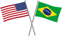 Bandeiras dos países onde a Zamak atua